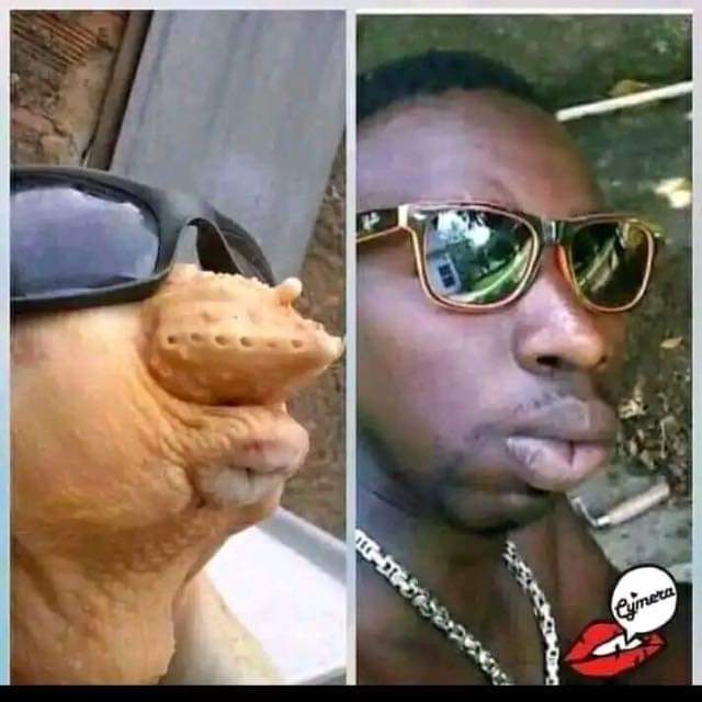 Y'a t-il une différence??