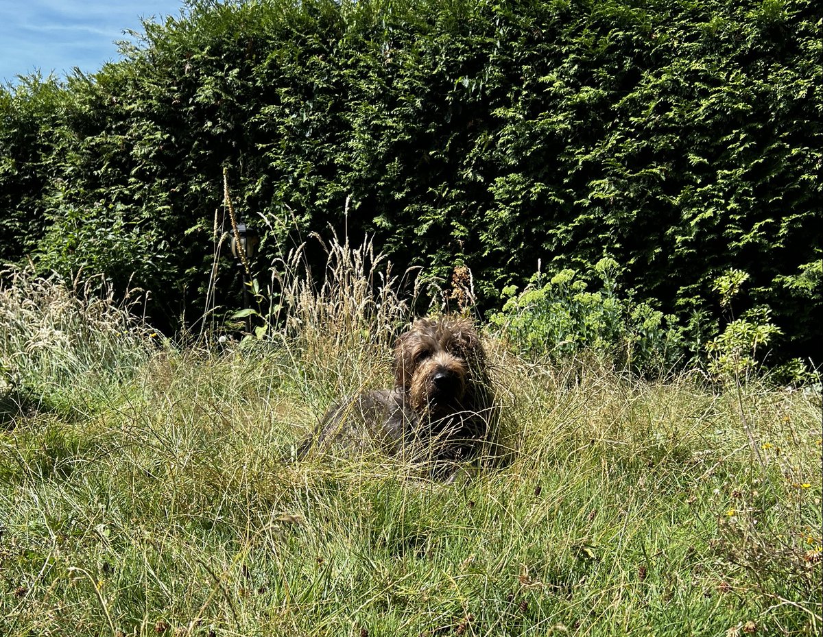 Ihr seht mich gar nicht!