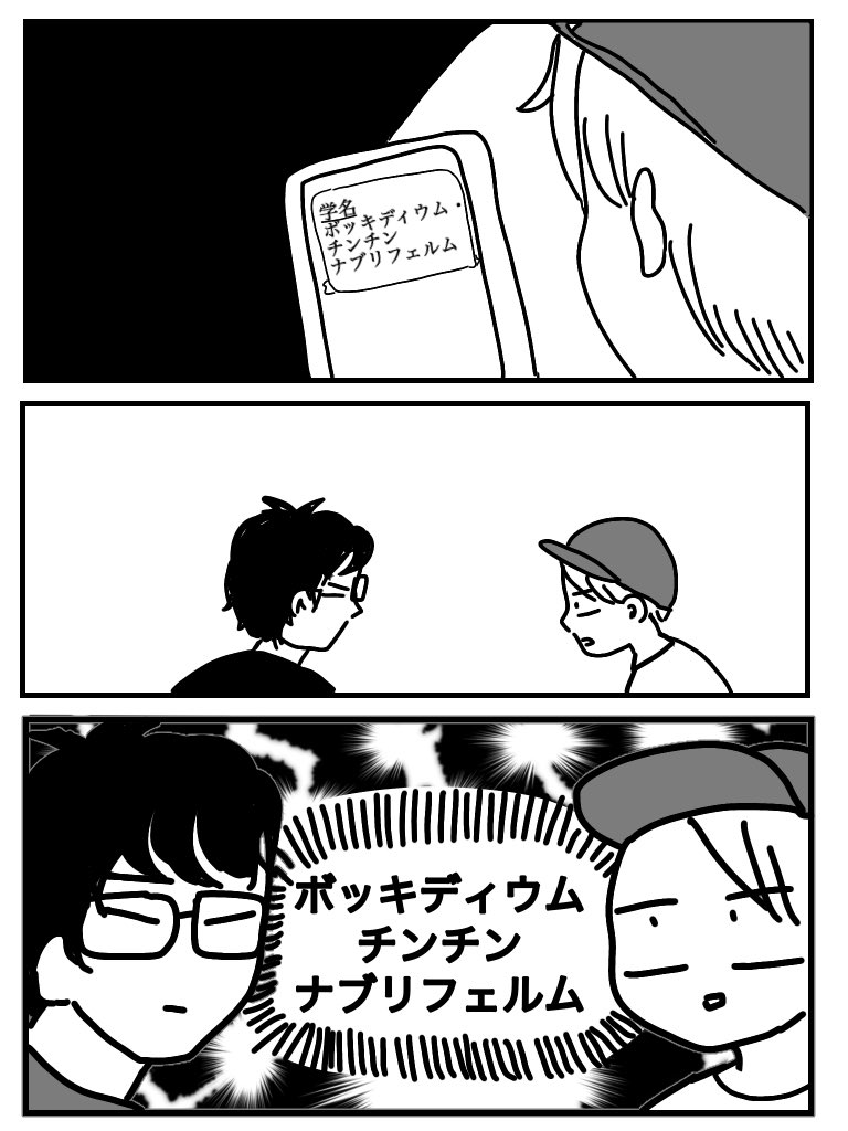 めちゃくちゃ面白い虫の名前を紹介された話 