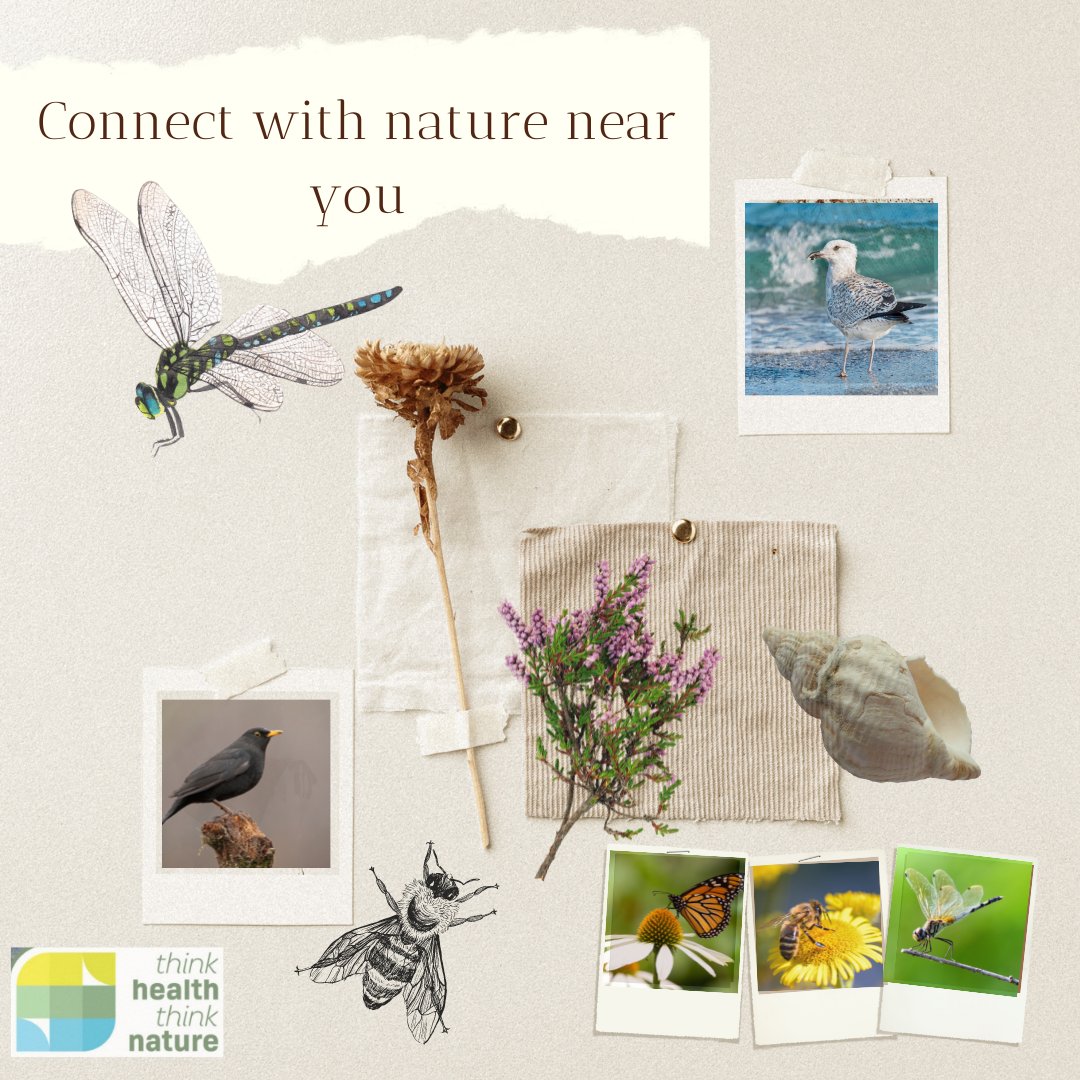 ThinkNature_'s tweet photo. The next of our five ways to connect with nature is *CONNECT* Why not find a quiet spot near you, sit still and watch for movement, it could be animals, birds, flowers, the clouds in the sky or the wind in the leaves.
#thinkhealththinknature #connect
https://t.co/vW3nHYsNGT https://t.co/Va2qMtueGI