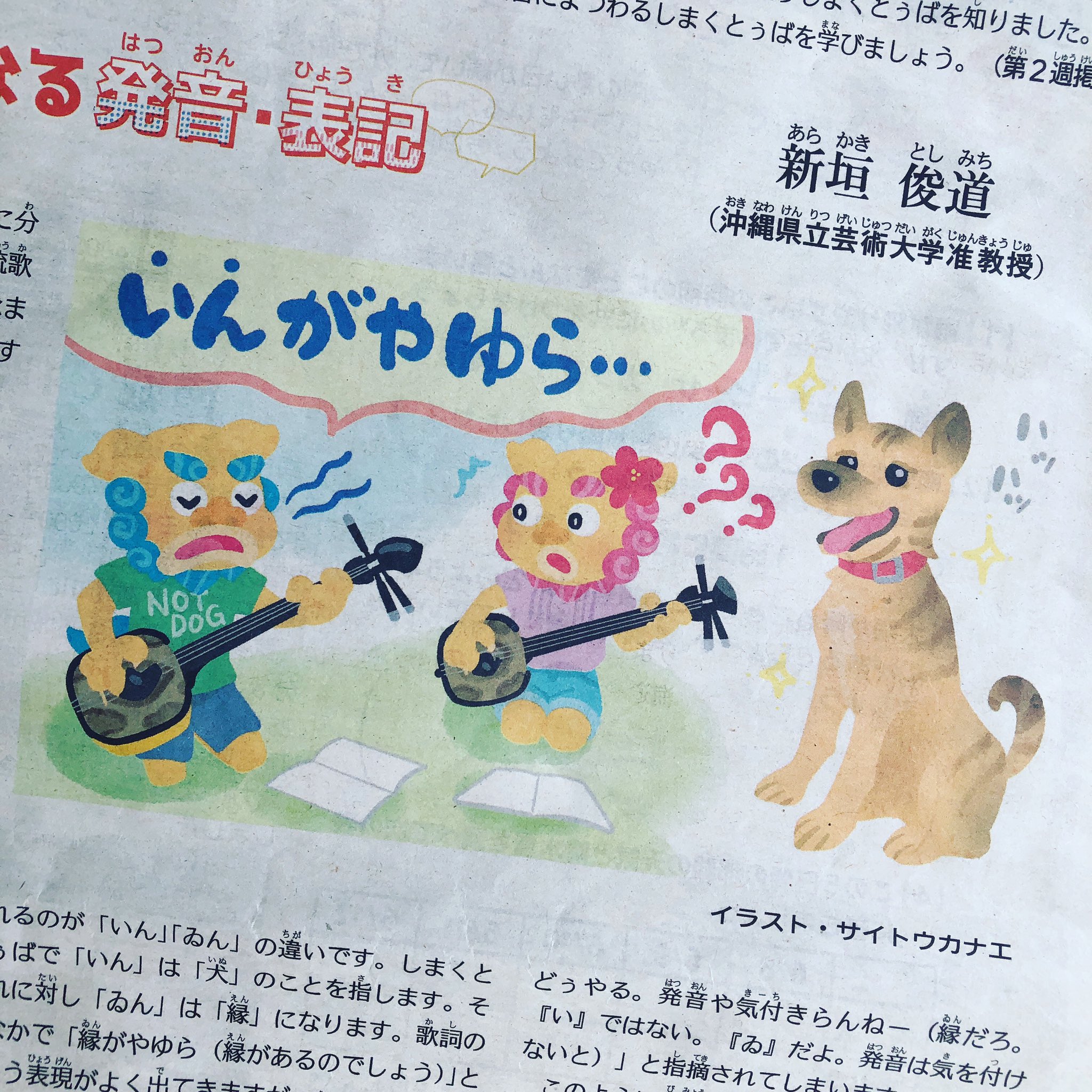 サイトウカナエ 琉球イラスト Okinawakanae Twitter