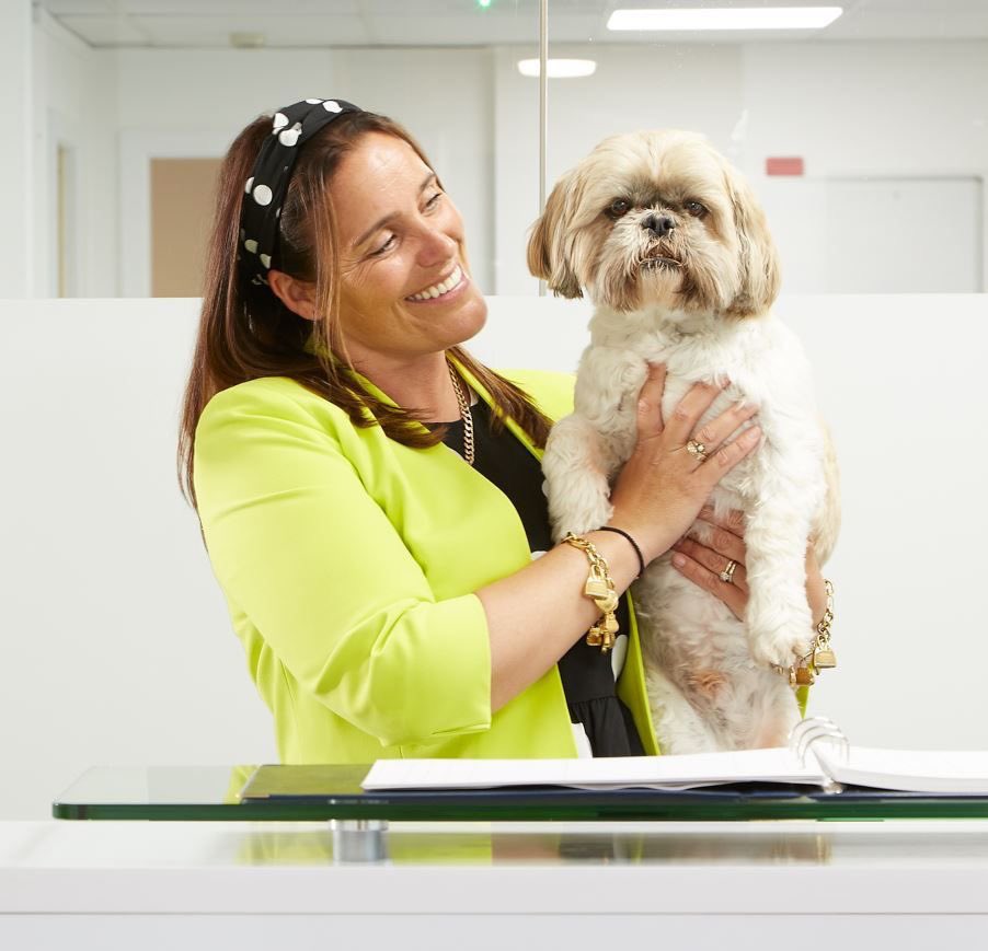 Here is a picture of our Sheridan Mascot, Bubbles!! 🐶 

Our Head Office, Bubbles can often be seen plodding along and welcoming our staff members in the morning 

Do you have an office ? Lets see some pictures below and show some puppy love 🐶 #DogsofTwittter #dogsarefamily