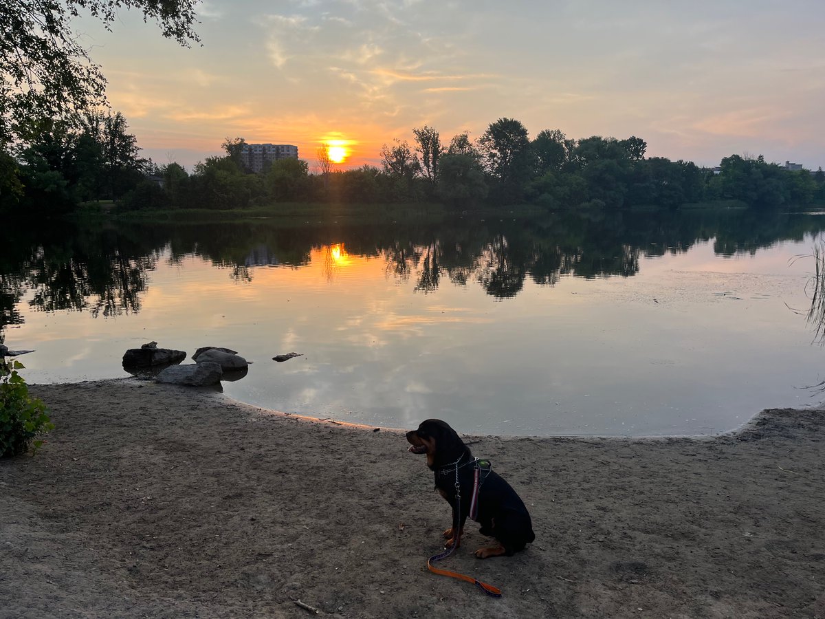 Good morning. It’s a hot day today and so Teddy and I went for a long walk at sunrise.