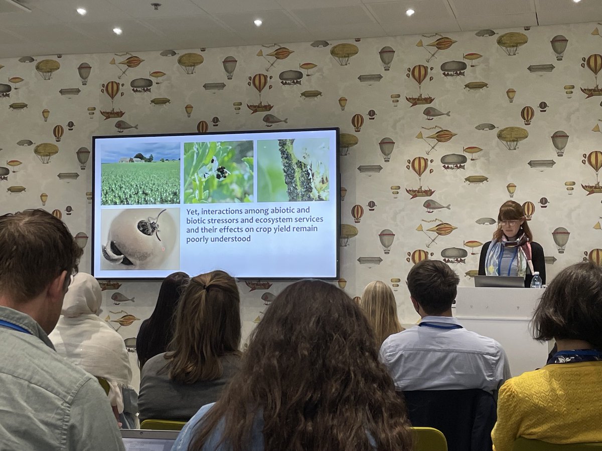 mattiasjonsso14's tweet photo. Great talk by former colleague ⁦@ca_raderschall⁩ on interactive effects of herbivory, pollination and drought. #ICE2020 https://t.co/6HPE217Zti