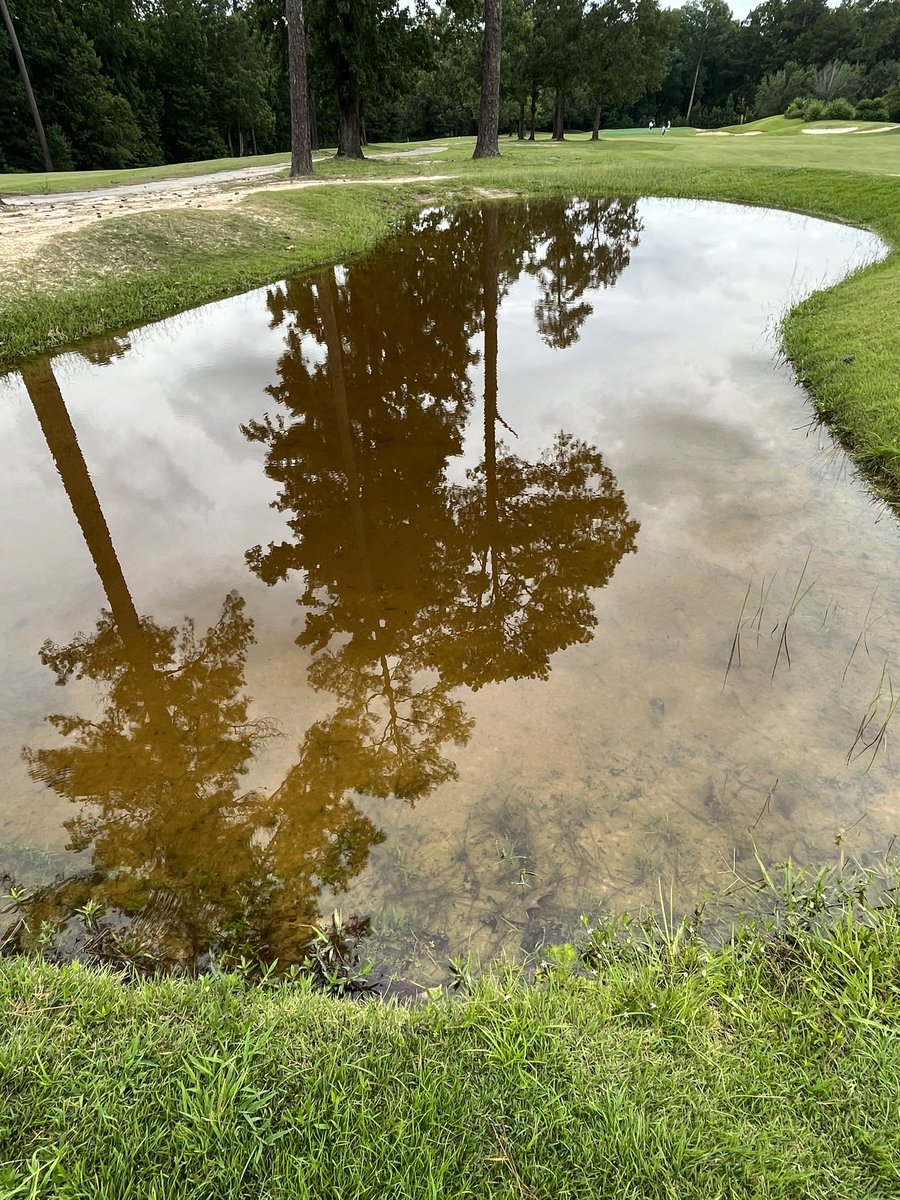 ⁦<a href="/ClubProGuy/">Club Pro Guy</a>⁩ the bunker on 12 should be dry by the weekend I hope.