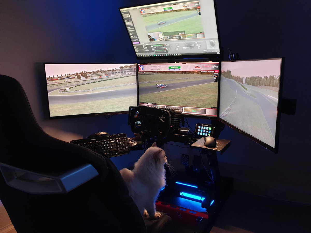 brb, searching "how the f*ck to run 3x 1440p monitors, plus 1x 1080p monitor, using a 2070 Super on iRacing" 🥵 (apt emoji both for my GPU, and record-setting temperatures in Edinburgh right now)

At least the cat seems impressed.