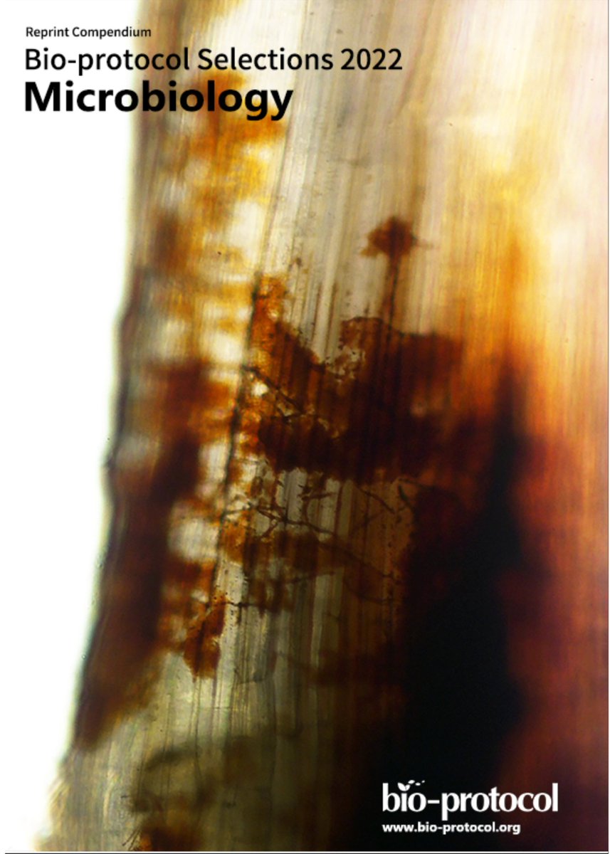 mostafarahnama's tweet photo. I am glad to let you know that my protocol is reprinted in Microbiology Selections, a curated series of the 26 methods most used by Bio-protocol’s community over the past year. In addition, they used one of my figures in my protocol as the cover image.

@bioprotocolbyte https://t.co/uCY8wimujB