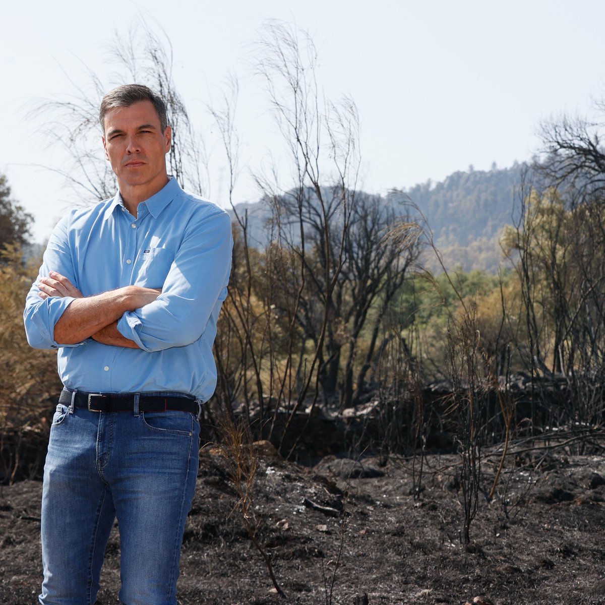 Pastrana tweet media