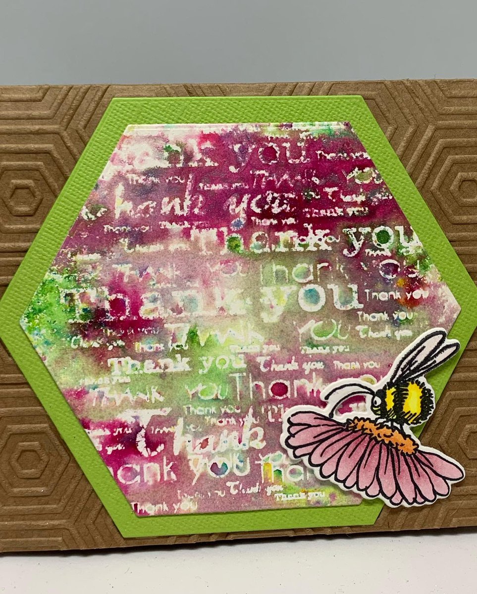 BlingCottage's tweet photo. Happy Hexagons 🐝 

Large Thank you Sentiment stamp on nested hexagon die cut Shimmer shaker backgrounds with Anita Jeram Bee You Mini. 

And the craft card is textured with the Honeycomb Haven embossing folder. 🍯

#snazziscrappindubbo
#anitajeram
#coloradocraftcompany https://t.co/MzvR8Twtll