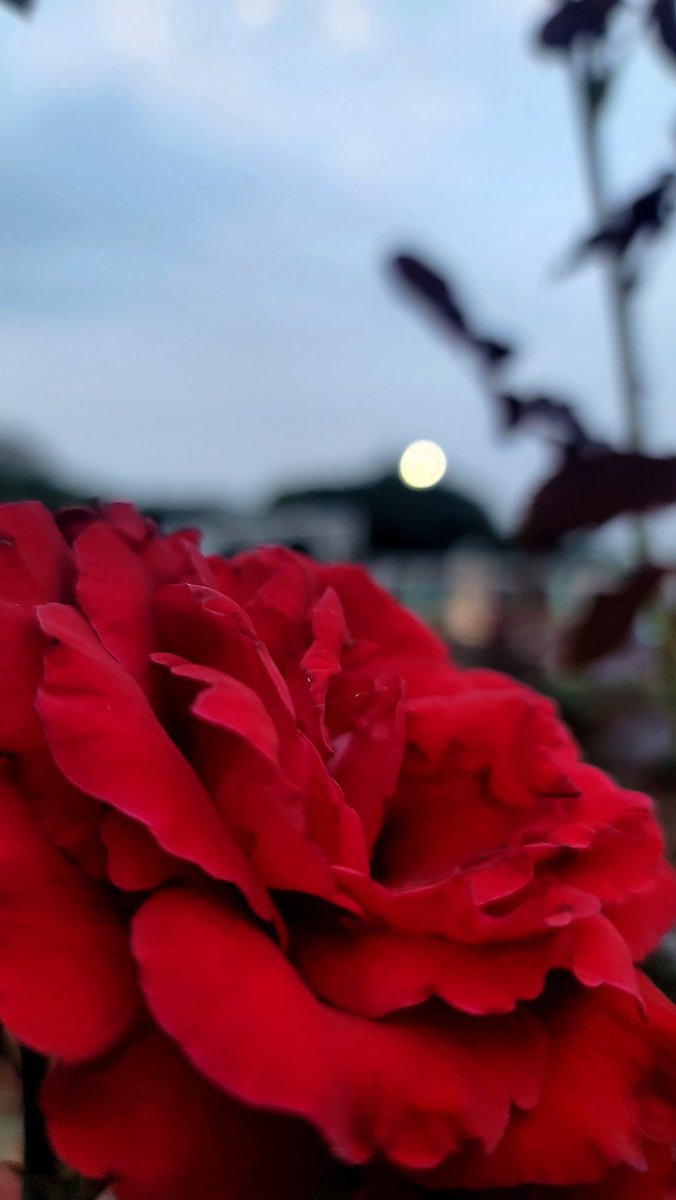 주홍맘 tweet media