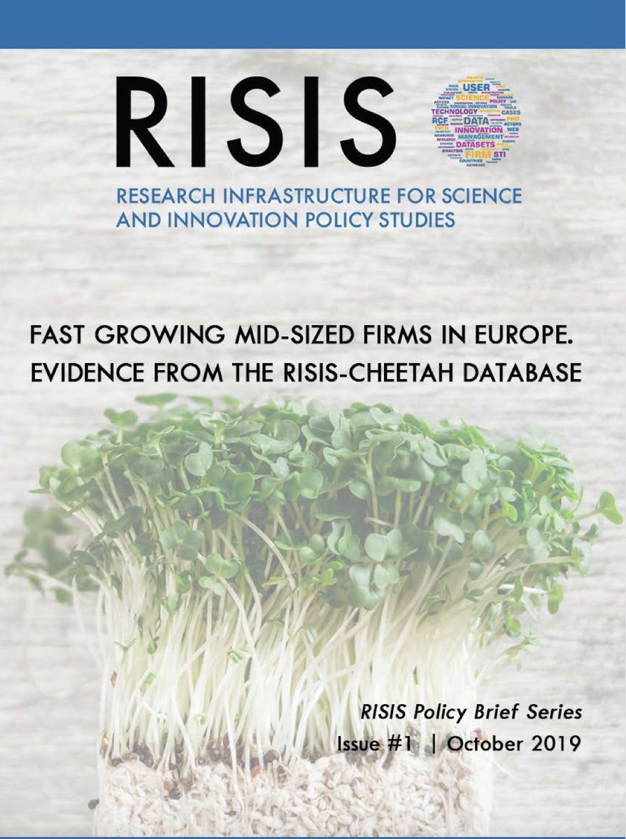 risis_eu's tweet photo. 📢#RISIS #SUMMER #stories🏖
#RISISresources
🔎Every week a #Dataset to discover again
It's the chance of #cheetah #midsizedfirms @polimi
All you need is
💻RCF https://t.co/HnSrf0fIVz
📗Policy brief https://t.co/2zo8wFdXlZ
Doc👉https://t.co/POBKjQBWqa
Happy reading‼️ https://t.co/wTzZaOq0IA
