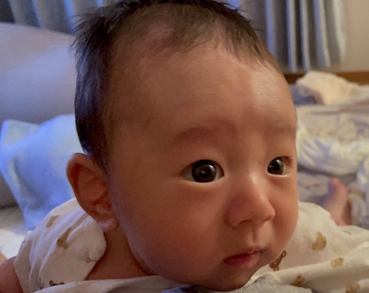 ellis0923's tweet photo. 大変ご報告が遅くなりました。
5月に李太くん爆誕しました！
一つ言えることとしては、、、
うちの子がいっっっっっちゃんかわええ😍😍😍 https://t.co/MPM4AT6rpX