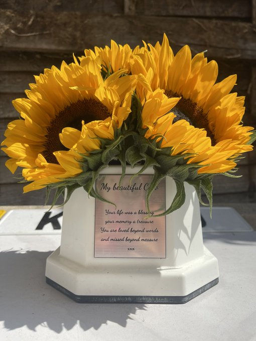 🌻 COCO, missing you always 🌻 https://t.co/W05PDulBr6<a href="/tag/coco"class="tags"><span>#coco</span></a>