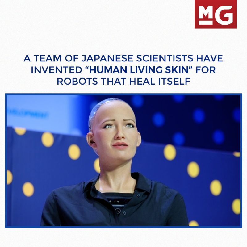 Robots now have 'living skin' that mimics human skin. 
Seems science and technology have outdone itself this time! 

Read here: bit.ly/3PwDagx

#innovation #robotics #artificialintelligence #scienceandtechnology #mediaguru #innovativetech #japanese