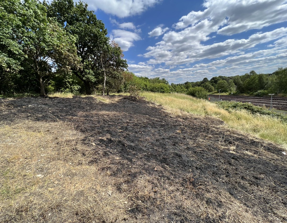GroveParkSE12's tweet image. Before &amp;amp; after Grove Park Nature Reserve the Chalk Grassland  set on fire @ukwildlifecrime @MPSGrovePark be nice to see an  SNT officer on patrol in the nature reserve ASB getting out of hand in recent weeks @zsllondonzoo @CllrMarkIngleby @MarkDJacks1 @Cllr_S_Clarke @damienegan
