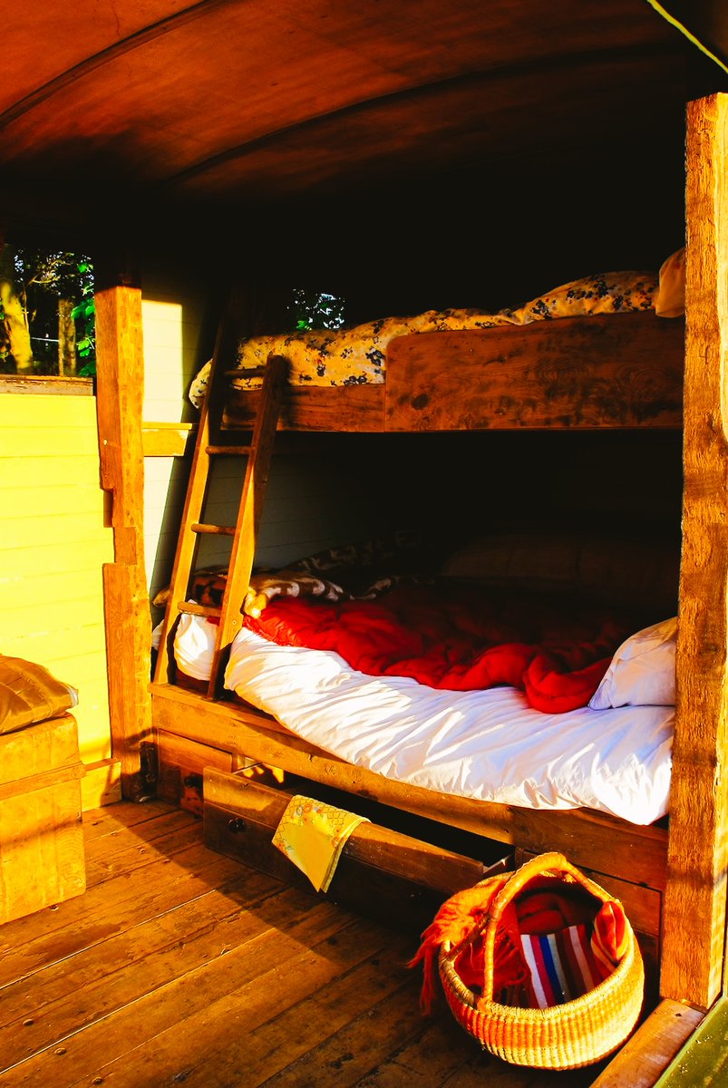 MadDogsglamping's tweet photo. Monty's free the next 2 #weekends, July 22/23 & 29/30
Monty's NEVER free.
He's the main man.
#glamping #caravans #wyevalley #visitherefordshire #deanwye #visitrossonwye #coolstays #hostunusual #weekendcandy #groupaccomodation #walking #dogwalking #herefordshire #rambling https://t.co/UL58jYJcCw