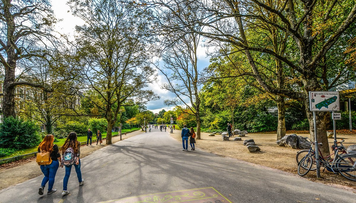 boom_plan's tweet photo. Waarom een boom in de stad een goed idee is 4/4 🌳💪 Creëer een ‘eiland van biodiversiteit’ met bomen in de straat. Want ze vergroten de biodiversiteit enorm! Zo leven op een grote zomereik zo’n 800 dieren, vooral insecten en vogels. #planboom #groenindestad https://t.co/jBMYrHwLUK