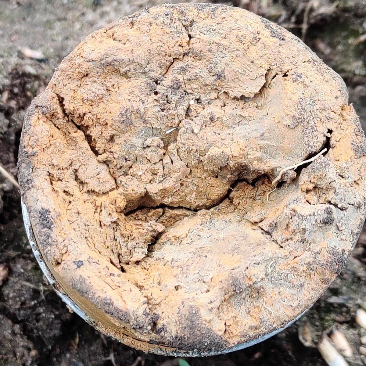 btdasnz's tweet photo. Some of the recent joys of soil science learning in the lab and field. #hydrometer #soilcore #dirt #soiltexture #teaching #learning https://t.co/o6MzdMAuDU