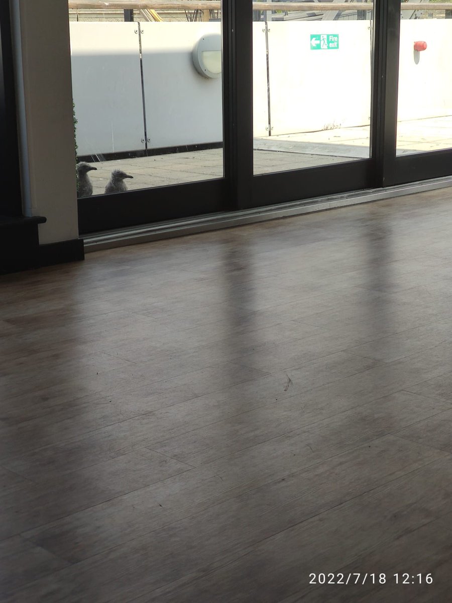 dipbuk panchal (they/them) tweet media