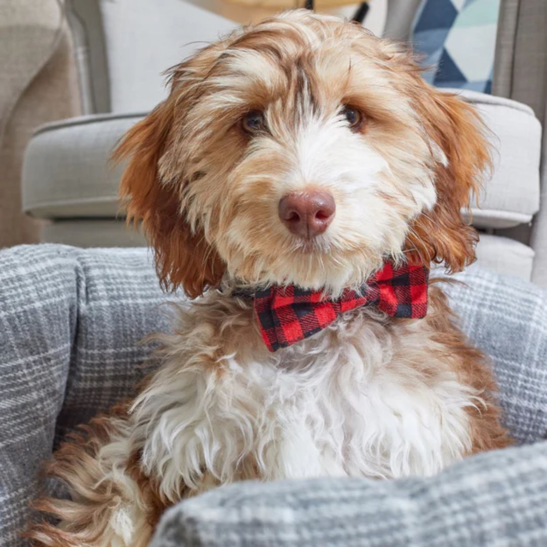 UK CHRISTMAS WORLD tweet media