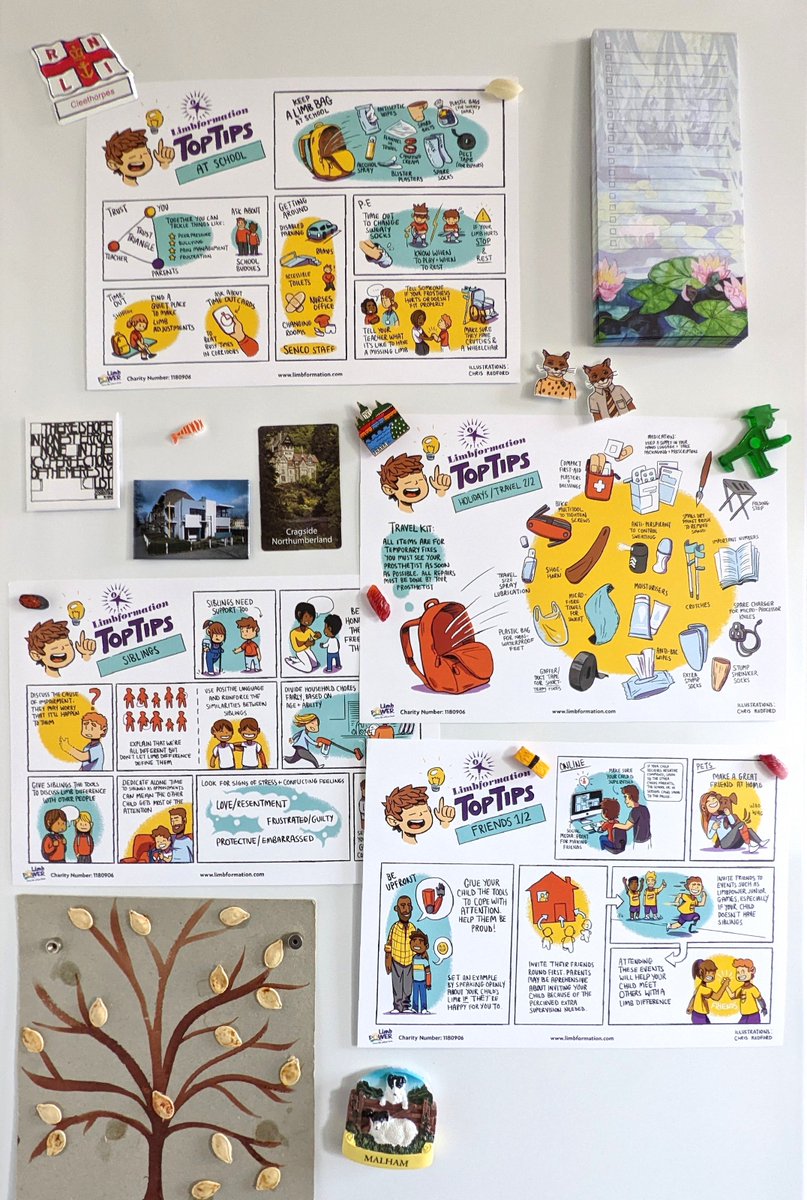 Over the past few years I've worked with @Limbpower to create a series of info illustrations. They're handy to put on the fridge or to give to friends, schools, services or anyone who could use more info about what kids with limb difference actually need! limbpower.com/resources/info…