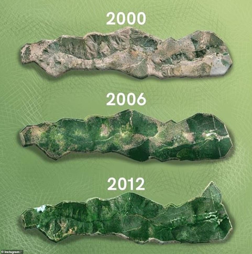 Some motivation facts for you guys!

Brazilian couple spends 20 years planting millions of trees on a barren cattle ranch to create a 1,750-acre paradise for animals pushed out by deforestation

And you still think nothing is up to you?

 #ourplanet  #Ecology  #Earth