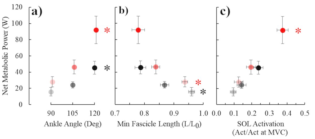Owen Beck tweet media