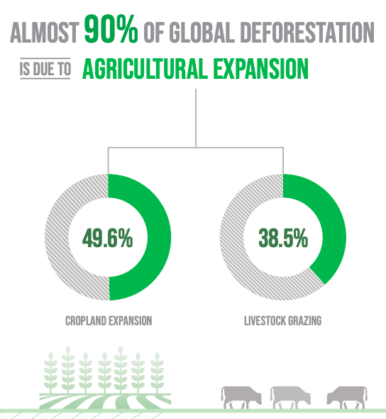 evegleeson_'s tweet photo. We MUST farm smarter and less intensively. Soy, beef, cocoa, coffee and palm oil are the biggest drivers here and the companies (and their investors) that are continuing to destroy ecosystems for their production need to be held to account. #foodsystems #deforestation #dropJBS https://t.co/loxUyIucWU