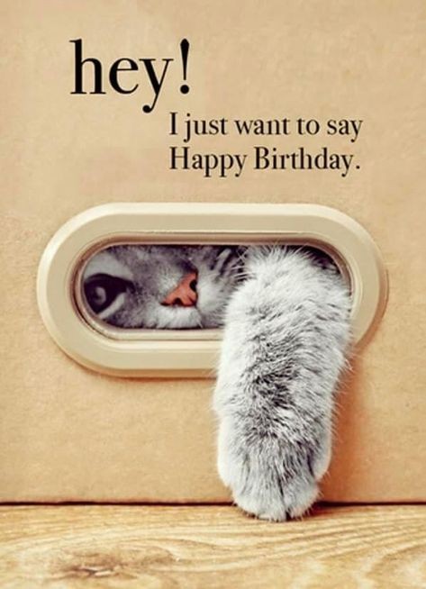 Hawaiike_'s tweet photo. Happy Birthday @Pandachan94 😘🥂🎉🎈💐 https://t.co/ek3QLb6cYm