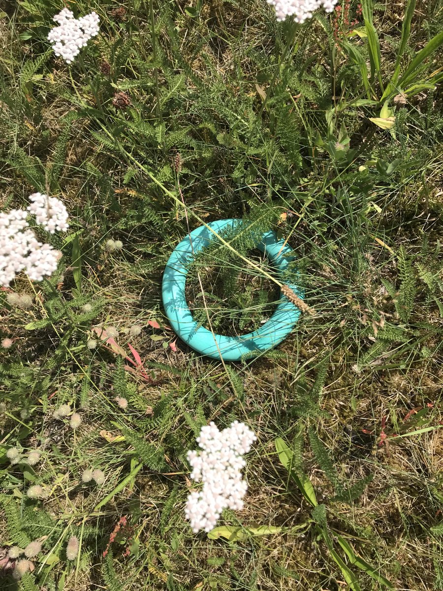 Elke <a href="/Dag1tje/">ElkeDag1Tje</a>
is dit vandaag
mijn  #zwerfie
          steentje.
<a href="/litterati/">Litterati</a>
'The Lord of the Rings'