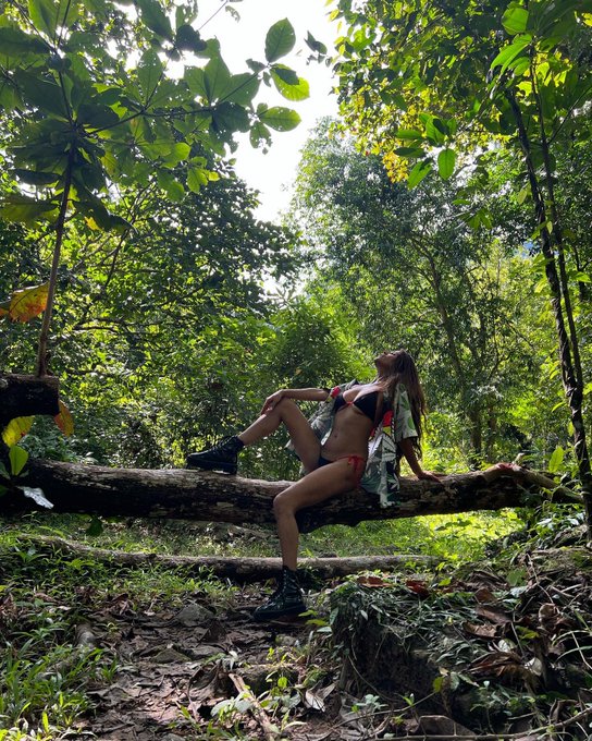 Welcome to the jungle. https://t.co/RNGx6rOSqB