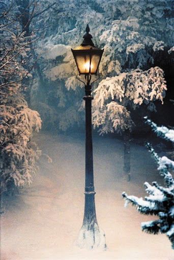 I've just realised how handy it would be to have a wardrobe in my home that lead into snowy Narnia... 🥵🔥