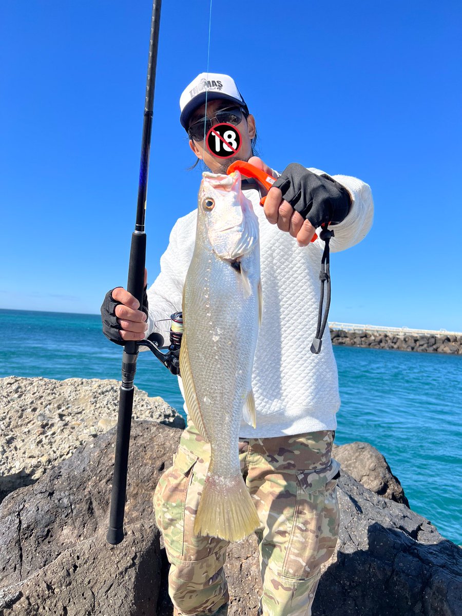 LeoLeoFishing's tweet photo. 釣りたかったJewfish!
それとチッチャイ小メッキ🥹
Palms SlowBlatt wide 20g
#palms
#Jewfish #Mulloway https://t.co/HldoaEStnL