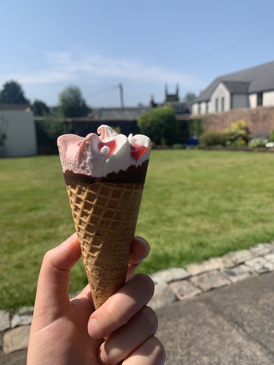 Kaylea Haynes tweet media