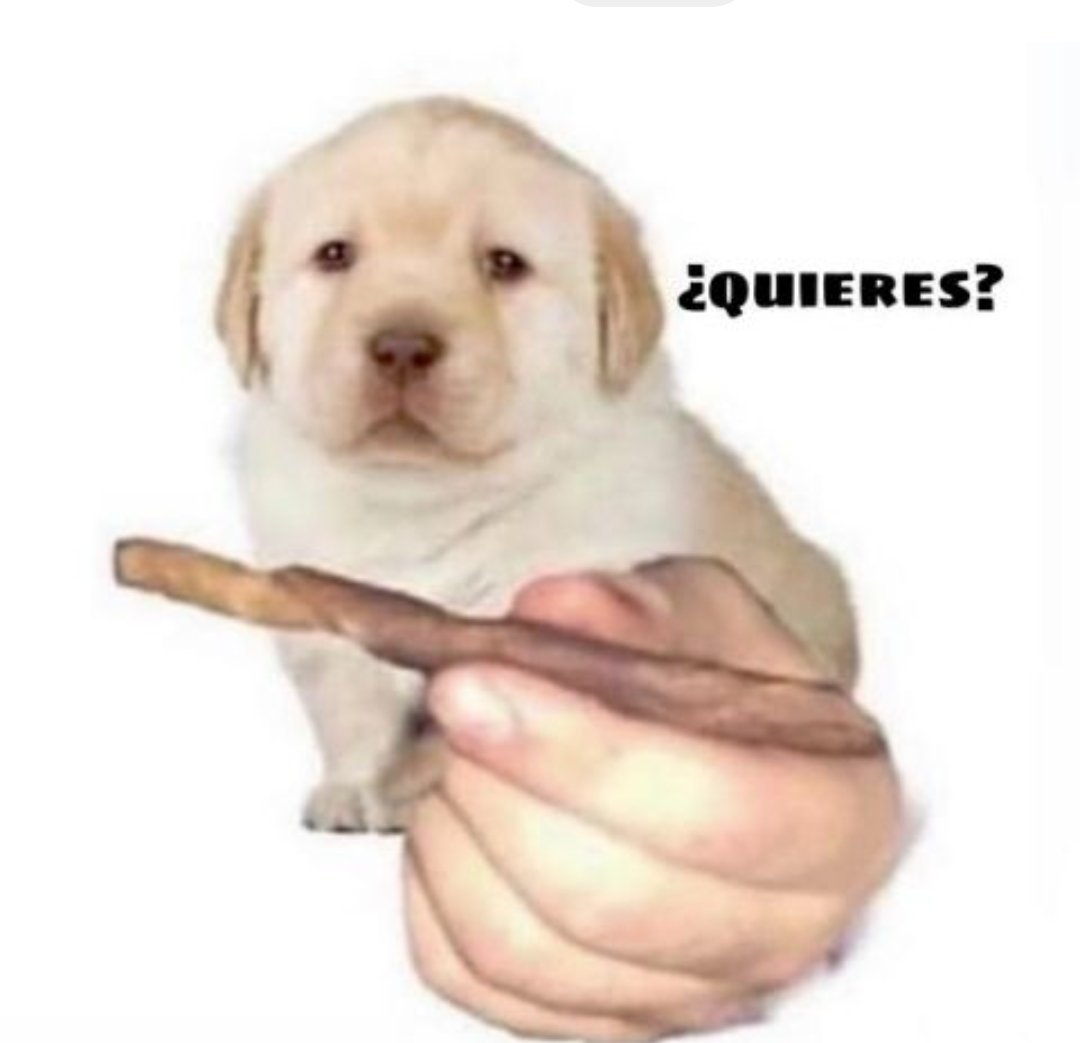 Lama flama tweet media