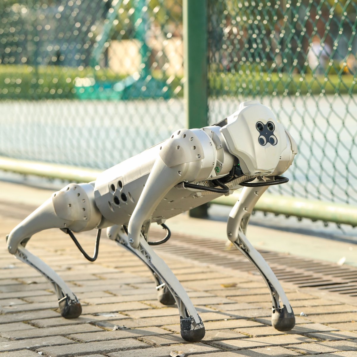 MinZhan86685170's tweet photo. Unitree Robotics - Go1 
#robot #robotics #ArtificialIntelligence https://t.co/WrUK84fDW7