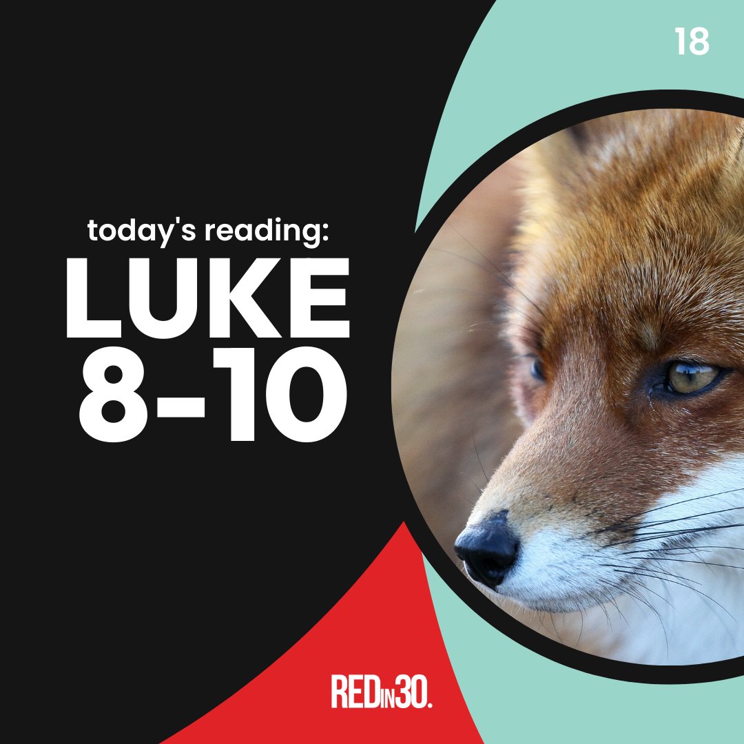 redin30's tweet photo. Day 18 | Luke 8-10
⁣
Can you find the picture clue in today’s reading? Leave a comment! #redin30 #redclues https://t.co/AxRBjfrdsZ