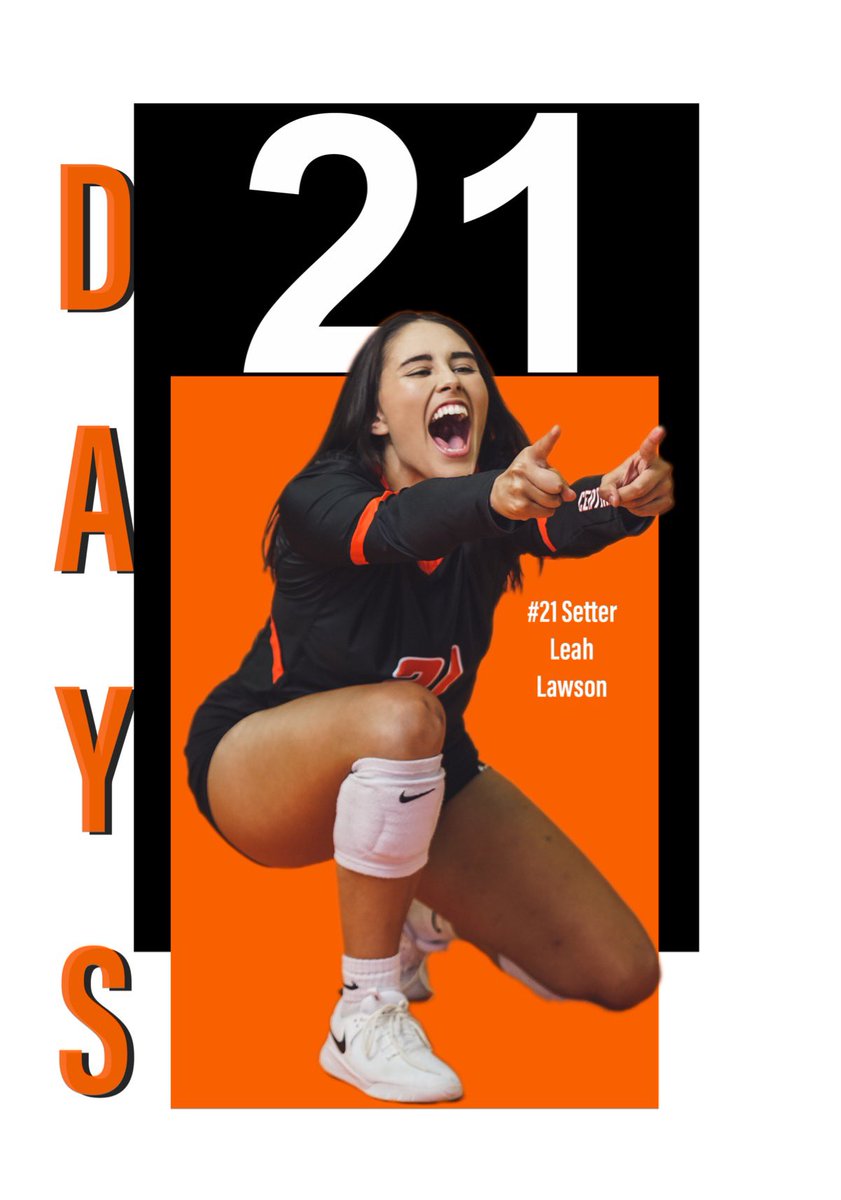 ECU Tigers Volleyball tweet media