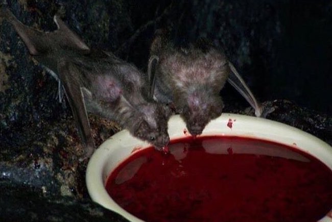 goth_videos's tweet photo. could be us… https://t.co/3pUERZAFve