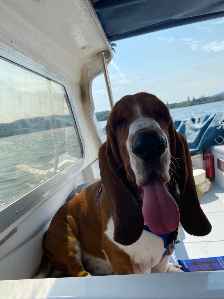 Right my Basset friends, time for some tongue photos. I’ll kick it off!