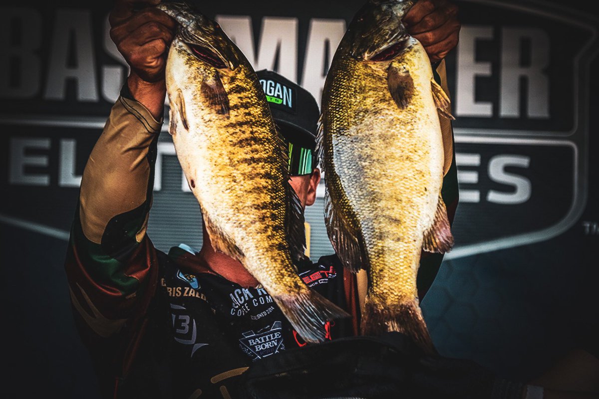 ChrisZaldain's tweet photo. John Zeolla has his hands full with this tourney edit 🎥🔥 BEST SMALLMOUTH FISHING OF MY LIFE. 

#powerfishing #bassfishing https://t.co/3b44rzeyq4