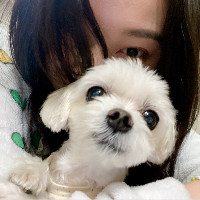 minkyeurngi's tweet photo. @yicyihyun Halo yiyi! Ini hewan kesayangankuu https://t.co/y2rIP8c59t