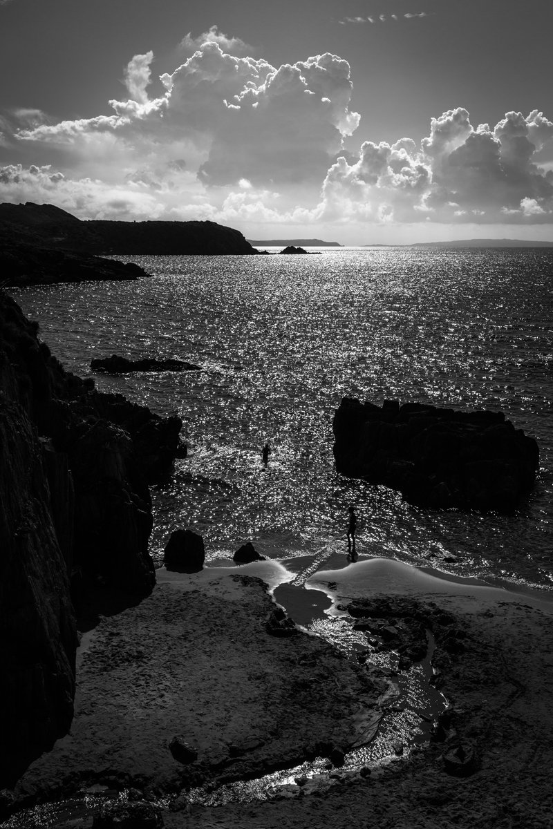📷 Alexandre Valinᴺᶠᵀ tweet media