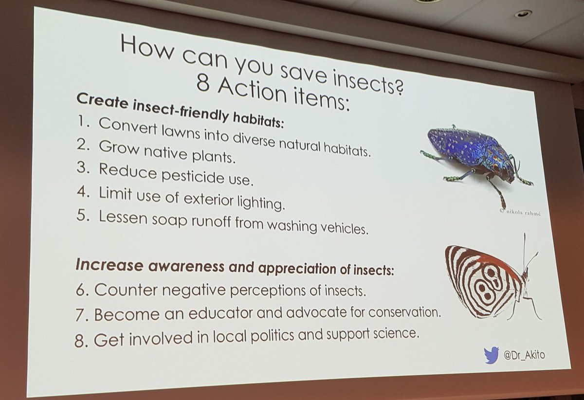 Konstantinos Tsiolis (@tsioliscy) on Twitter photo We should all do what we can to help save insects for the sustainable future of our planet and humanity <a href="/Dr_Akito/">Dr. Akito Kawahara</a> #ICE2022 We should all do what we can to help save insects for the sustainable future of our planet and humanity <a href="/Dr_Akito/">Dr. Akito Kawahara</a> #ICE2022