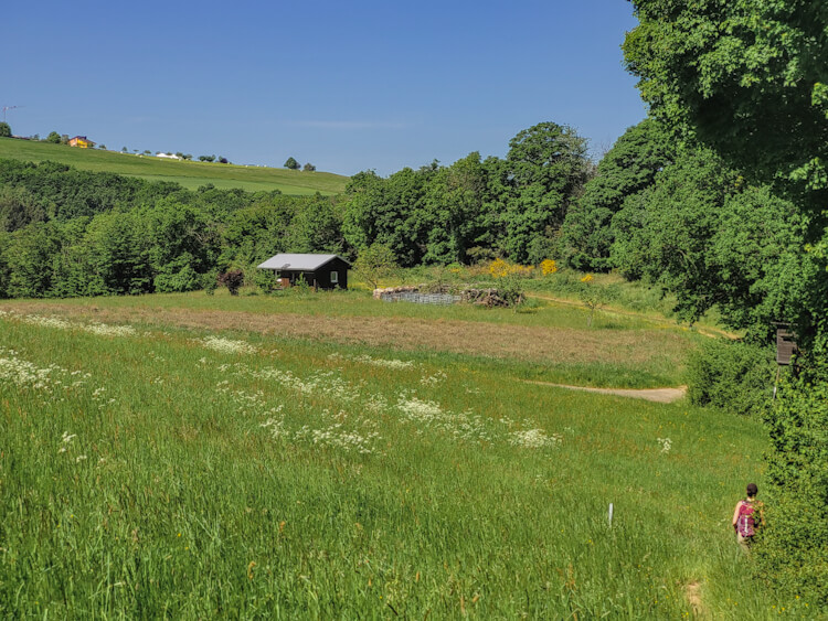 Vom Aussichtspunkt aus führt uns der #Lahnwanderweg durch schattige Wälder über die Lahnhänge hinunter ins Höllenloch, welches seinem Namen KEINE Ehre macht. 🙂 

Den ganzen Blogartikel zum gibt es hier:
➡️ ausgelatschte-schuhe.de/lahnwanderweg

#wanderlust