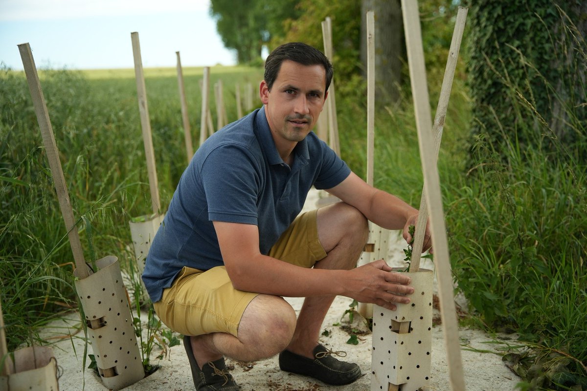 GrainesAgri's tweet image. #5 finaliste 

Installé dans le Pas-de-Calais, Benoît Guilbert cultive des céréales, du lin textile, du miscanthus et des légumes de plein champ. 

Il développe l’agroécologie sur toute sa ferme. 🌾

Tout l’été, votez pour lui ➡️ bit.ly/3IAnZAO

@TerresInnov 
@JeunesAgri