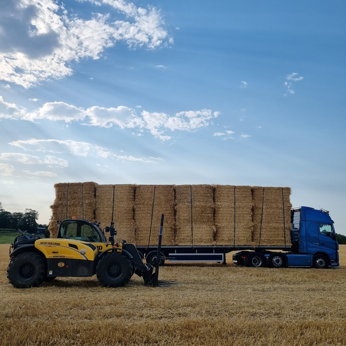 Another one done.
Barley straw looking delicious😋
#Whytebros