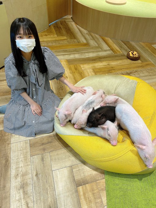 Twitterのコスプレ画像1