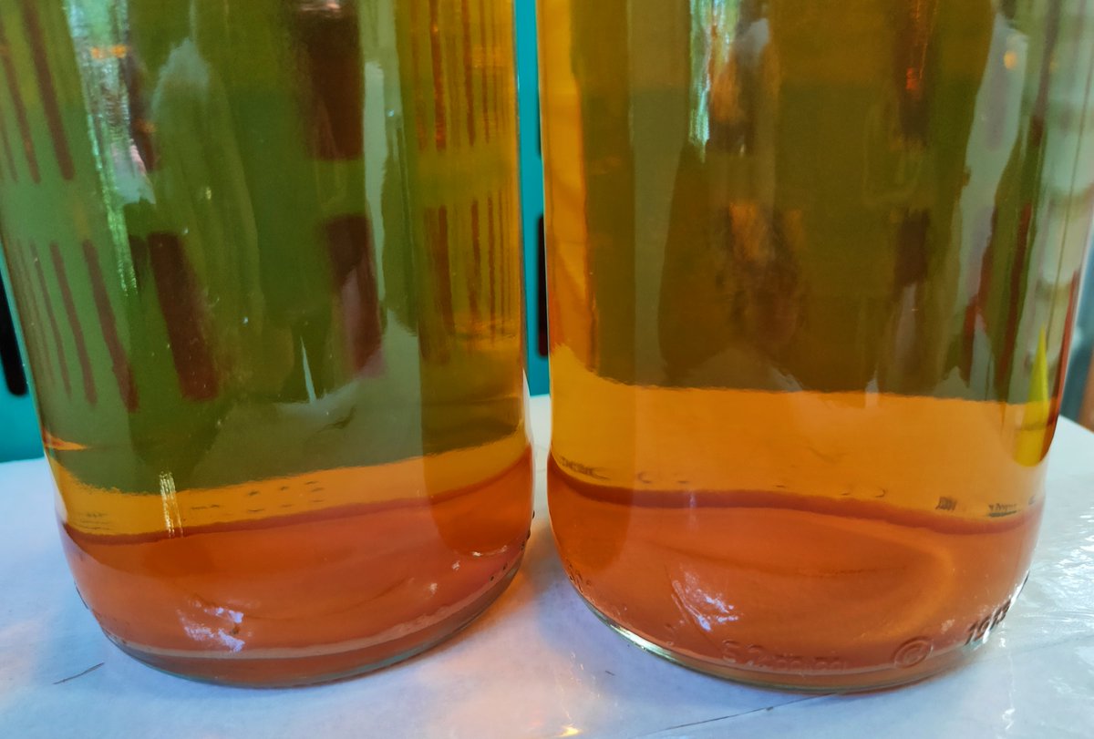 nottscider's tweet image. Bottles shifted &amp;amp; re-stacked. 👍 Checked on the &quot;Yarly&quot; Yarlington Mill-heavy (80%) sparkling #cider which has been conditioning for over 10 wks &amp;amp; is now bright with a firm deposit. Only 250 x 500ml bottles of this 7.5% #purejuice #LocalCider which we&apos;ll be labelling up ASAP.