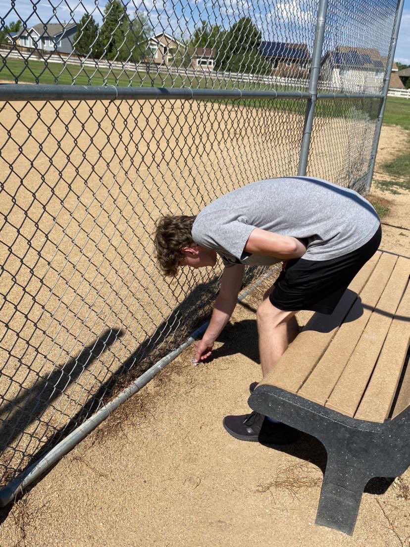 Bulky_Babes tweet media